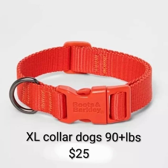 Boots and Barkley XL Dog Collar for Dogs 90+ lb