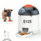 Automatic Pet Feeder