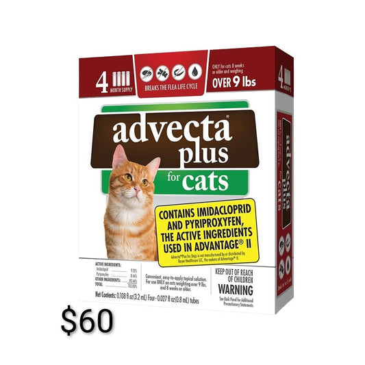 Advecta Plus for Cats Over 9 lb — 4 Doses